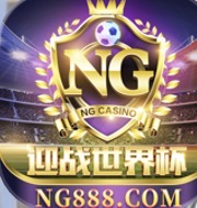 NG28（送88）图标